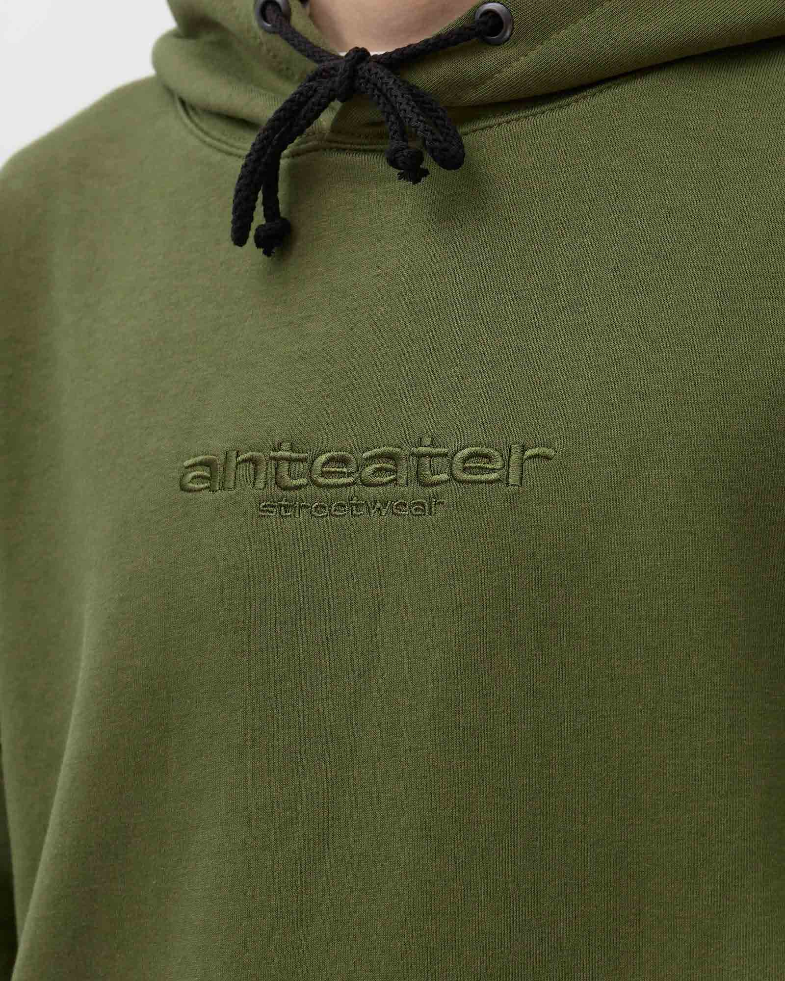 Толстовка Anteater Hoodie - фото 3