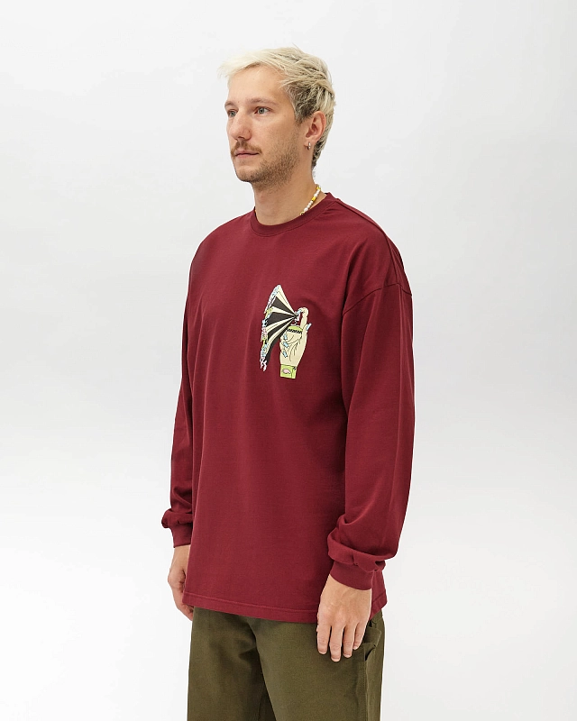 Лонгслив Anteater Long Sleeve - фото 2