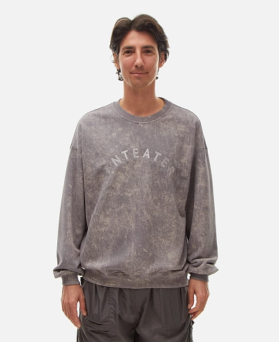 Толстовка Anteater Crewneck
