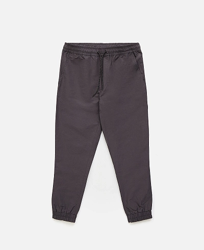 Брюки Anteater Joggers
