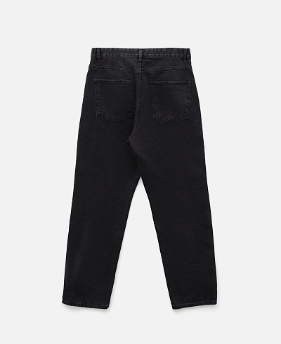 Джинсы Anteater Regular Fit