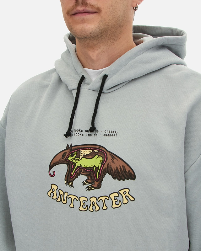 Толстовка Anteater Hoodie - фото 4