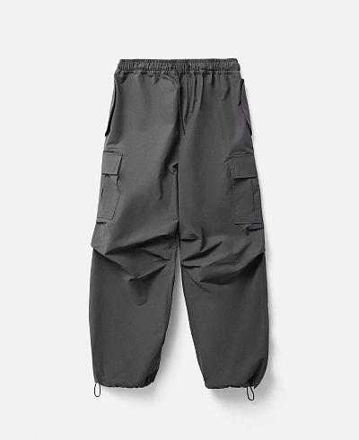 Брюки Anteater Parachute Cargo