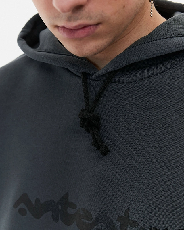 Толстовка Anteater Phat Hoodie - фото 7