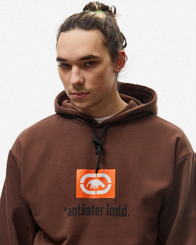 Толстовка Anteater Hoodie - фото 4