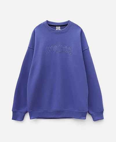 Толстовка Anteater Crewneck