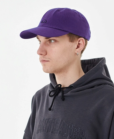 Кепка Anteater 6Panel