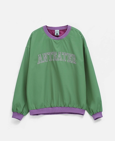 Толстовка Anteater Jersey