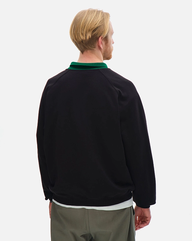 Толстовка Anteater Polo Crew - фото 4