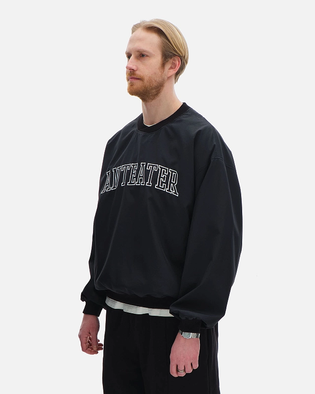 Толстовка Anteater Jersey - фото 2