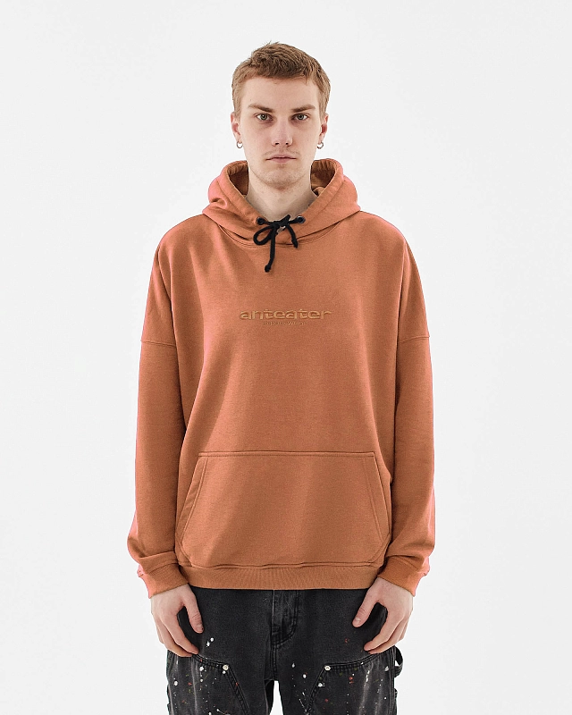 Толстовка Anteater Hoodie - фото 1