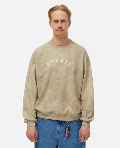 Толстовка Anteater Crewneck