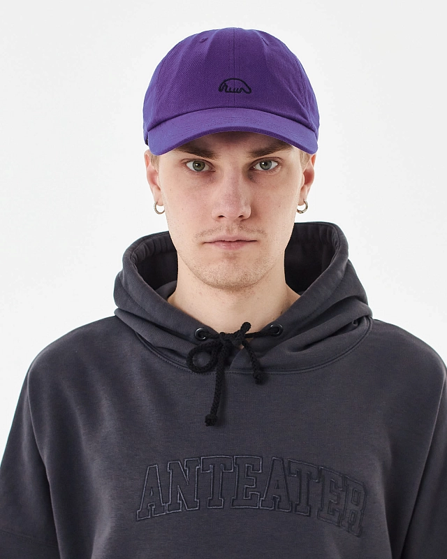 Кепка Anteater 6Panel - фото 1