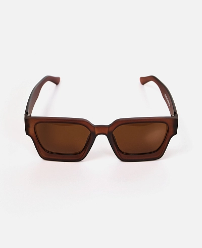 Очки Anteater President