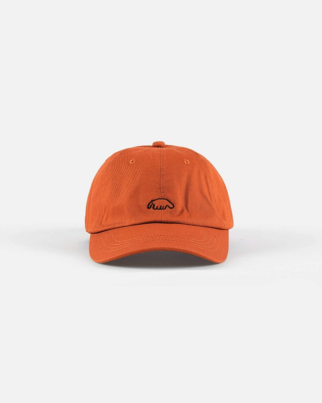 Кепка Anteater 6Panel - фото 6