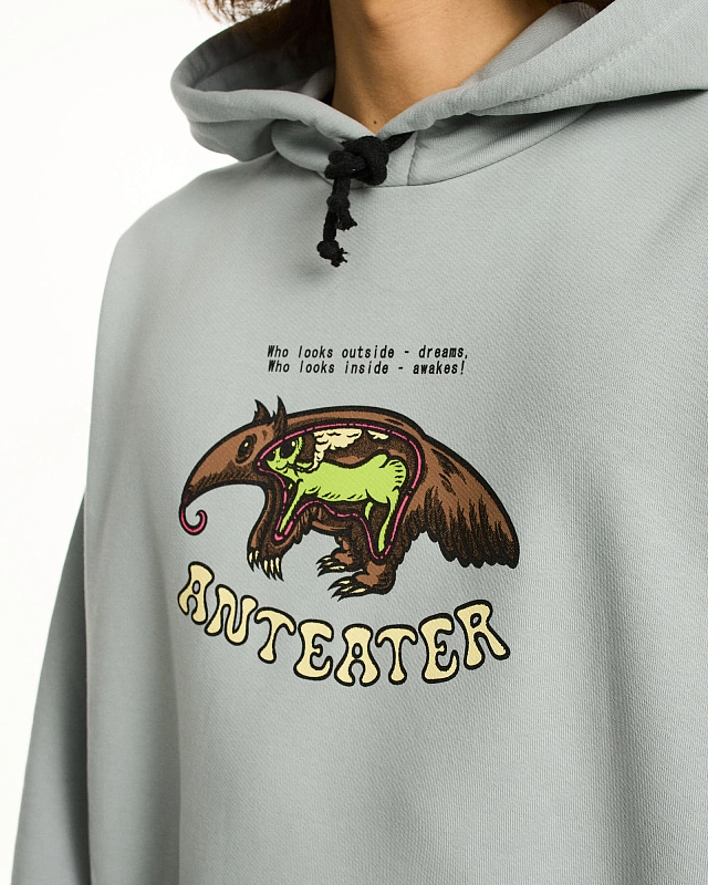 Толстовка Anteater Hoodie - фото 3