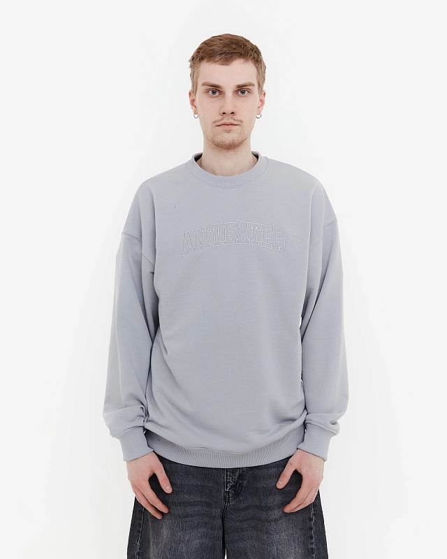 Толстовка Anteater Crewneck - фото 1