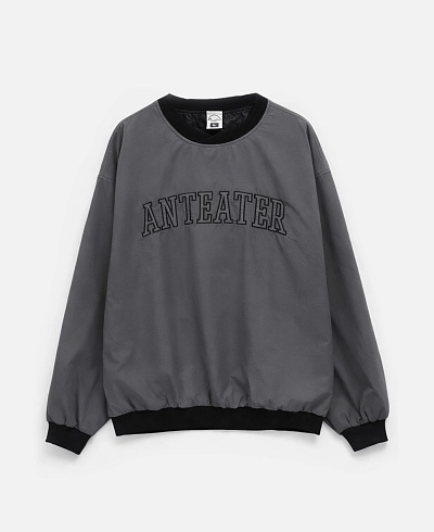 Толстовка Anteater Jersey