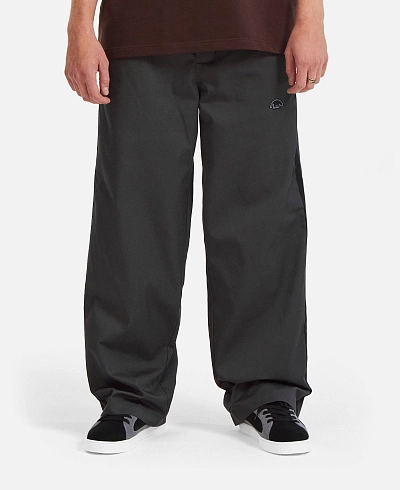 Брюки Anteater Skate Pants