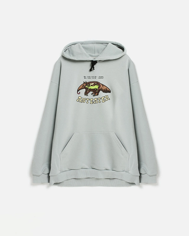 Толстовка Anteater Hoodie - фото 7