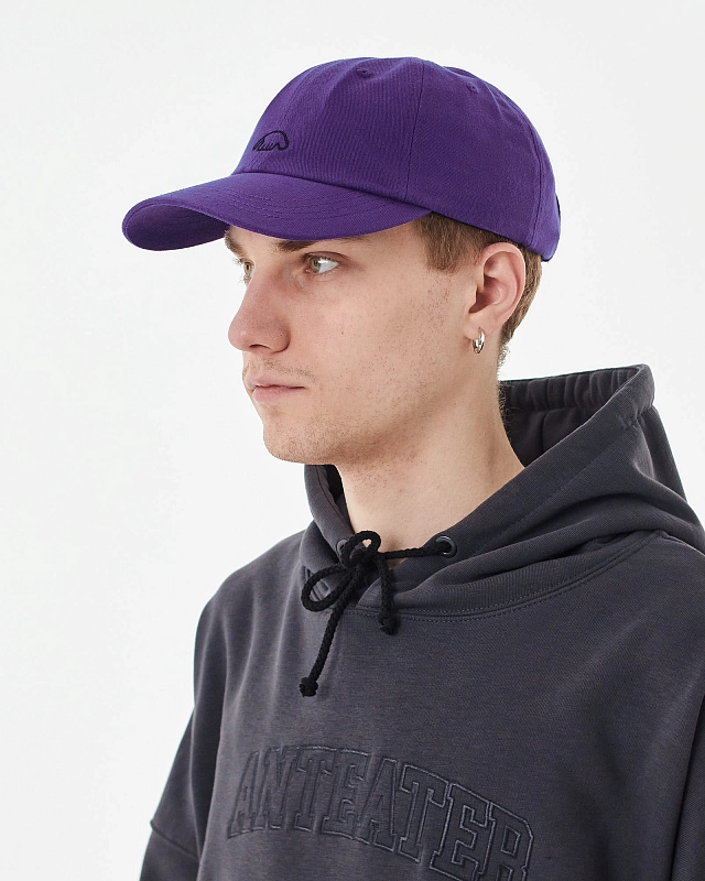 Кепка Anteater 6Panel - фото 2