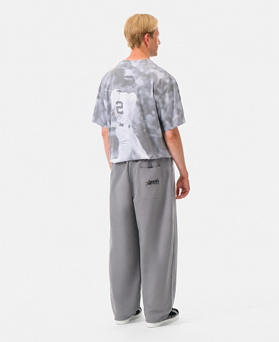 Брюки Anteater Sweat Baggy