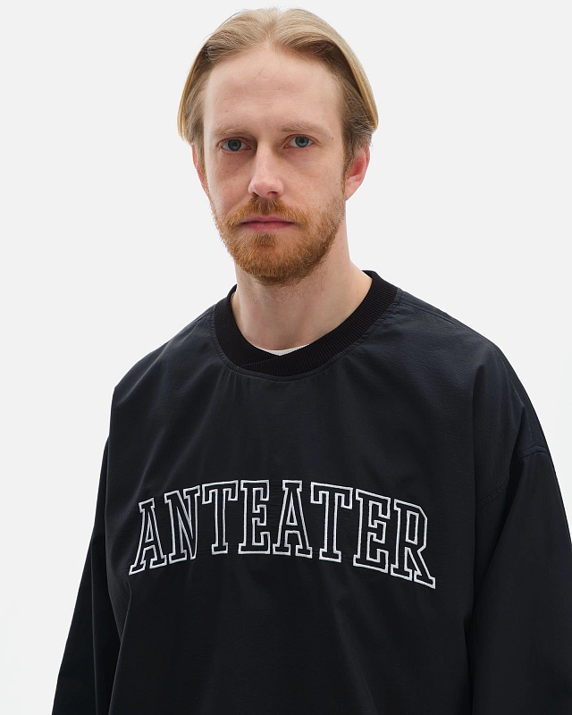 Толстовка Anteater Jersey - фото 3