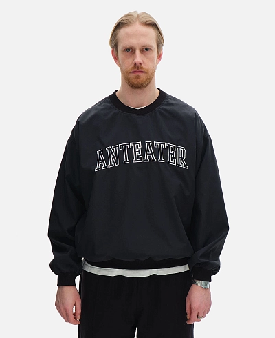 Толстовка Anteater Jersey