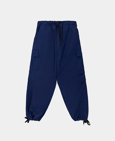 Брюки Anteater Wide Cargo