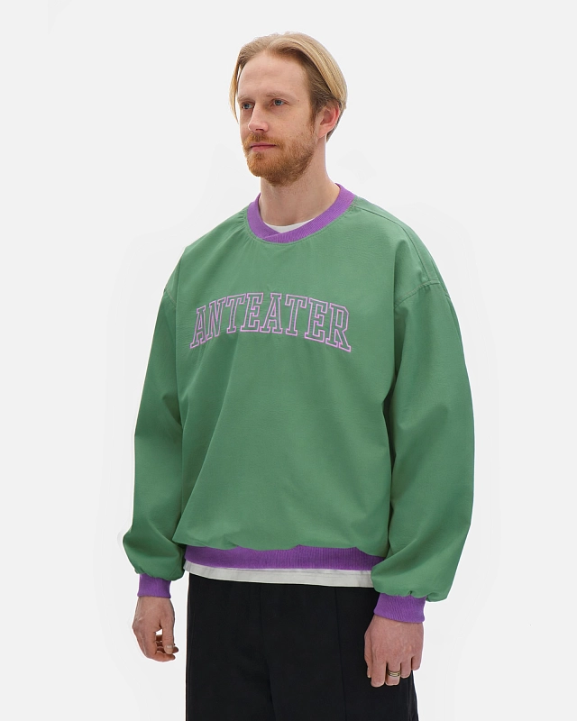 Толстовка Anteater Jersey - фото 2