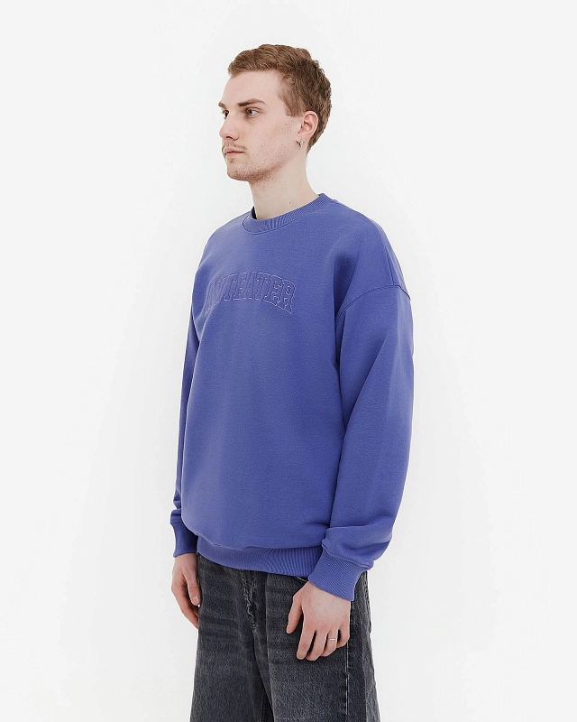 Толстовка Anteater Crewneck - фото 2
