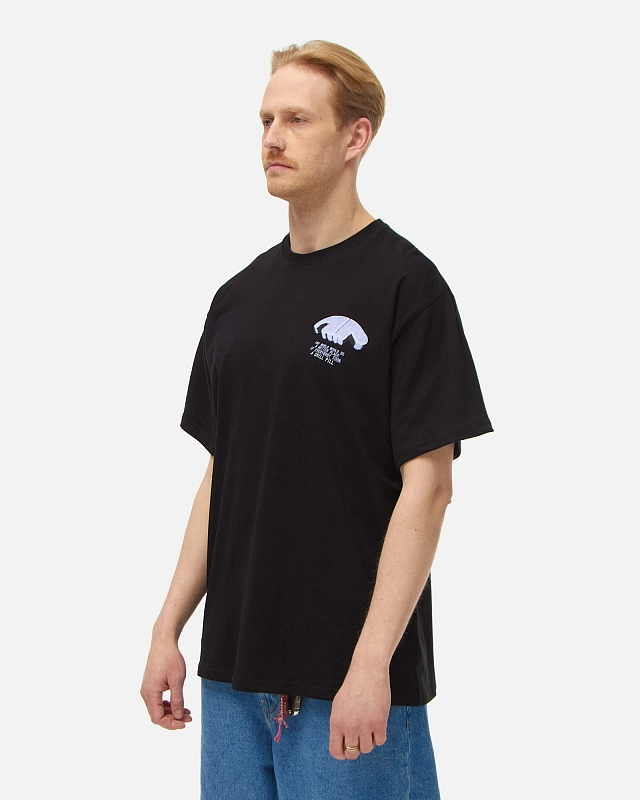 Футболка Anteater Tee - фото 2