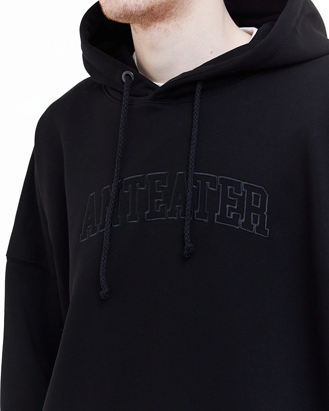 Толстовка Anteater Hoodie - фото 5