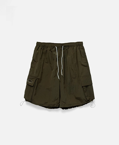 Шорты Anteater Boxy Cargo