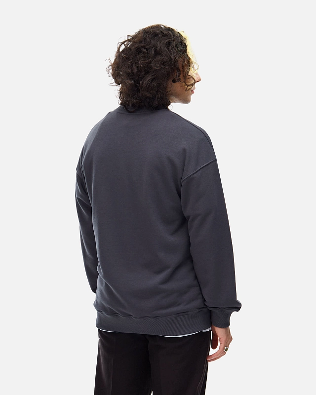 Толстовка Anteater Crewneck - фото 3