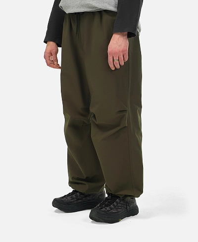 Брюки Anteater Parachute