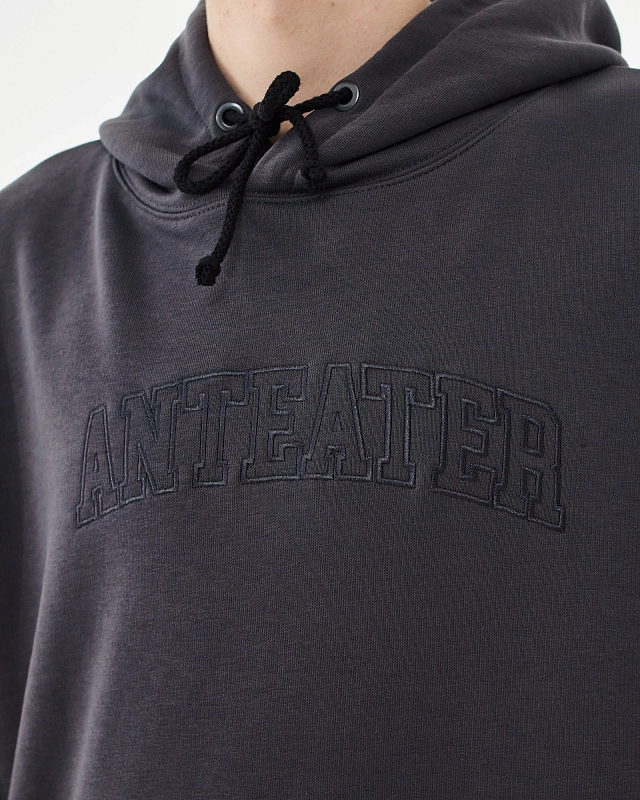 Толстовка Anteater Hoodie - фото 5