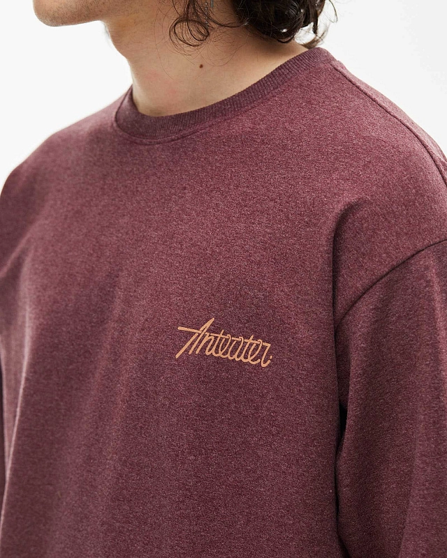Лонгслив Anteater Phat Sleeve - фото 3