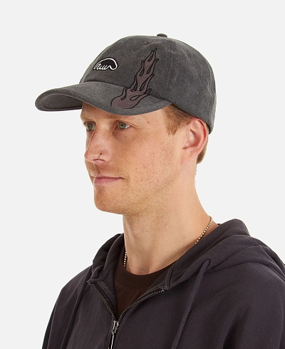 Кепка Anteater 6Panel