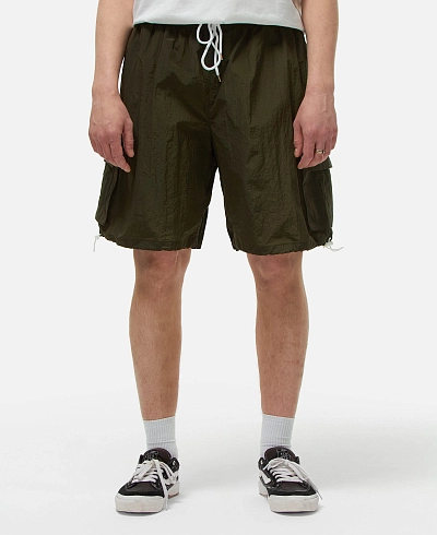 Шорты Anteater Boxy Cargo