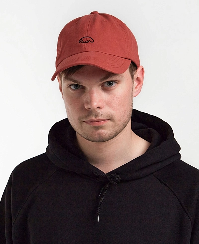 Кепка Anteater 6Panel