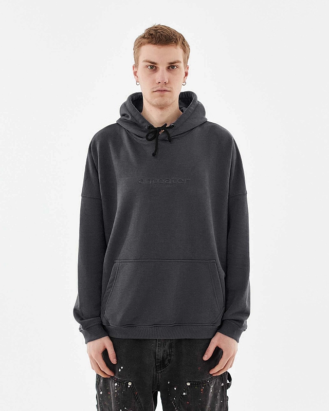 Толстовка Anteater Hoodie - фото 1