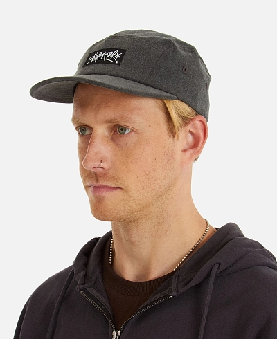 Кепка Anteater 5Panel