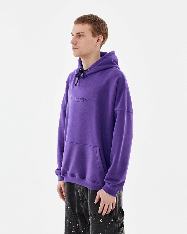 Толстовка Anteater Hoodie - фото 2