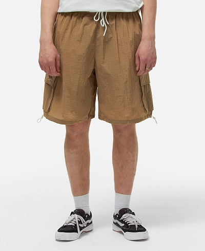 Шорты Anteater Boxy Cargo
