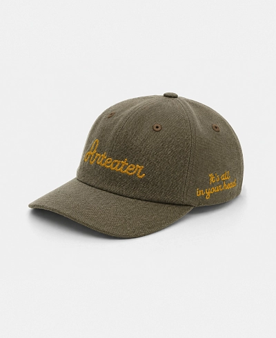 Кепка Anteater Snap