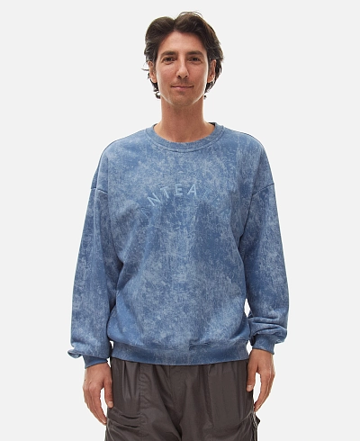 Толстовка Anteater Crewneck