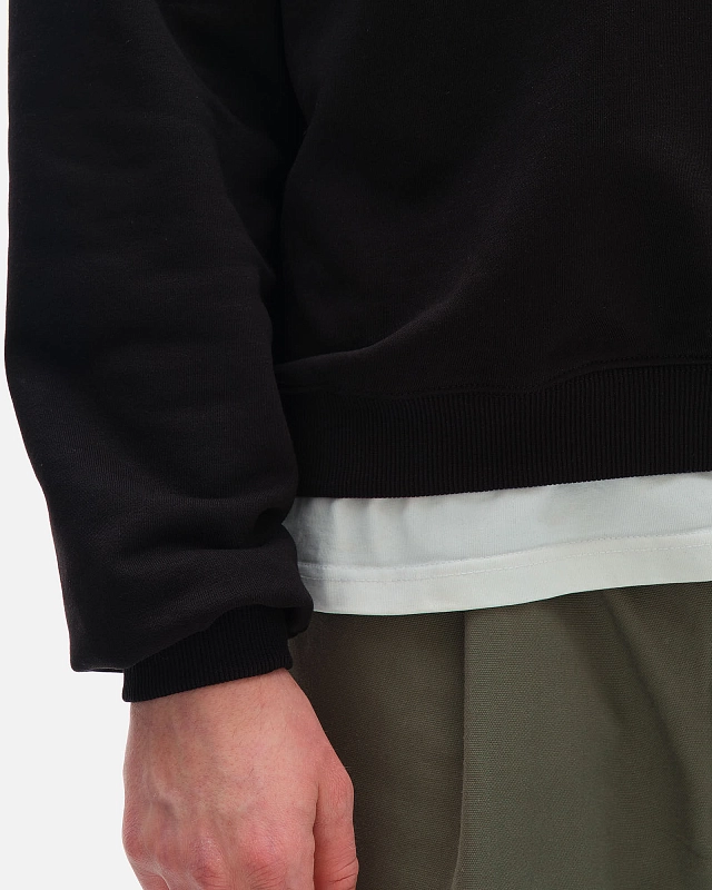 Толстовка Anteater Polo Crew - фото 5