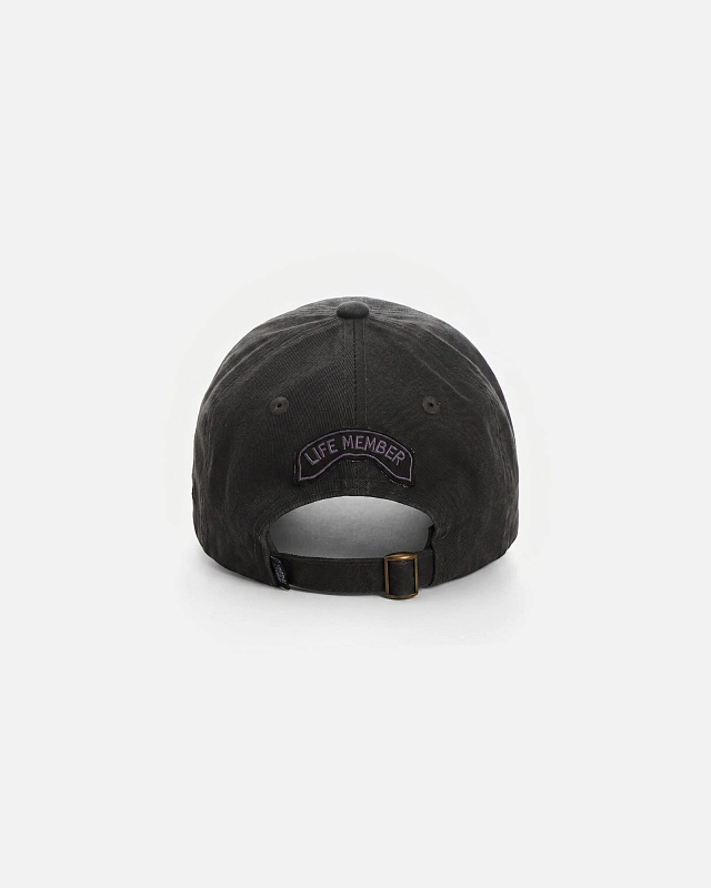 Кепка Anteater 6Panel - фото 8