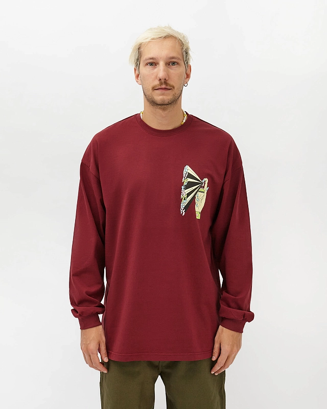 Лонгслив Anteater Long Sleeve - фото 1